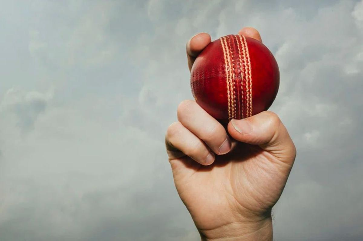 Cricket ball deals